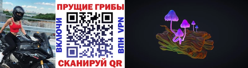 Купить где  Дмитров  Галлюциногенные грибы мухоморы 